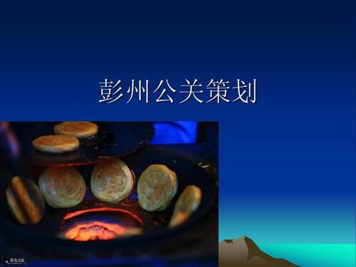 房地产项目营销策划与危机公关 品牌塑造与市场突围之道